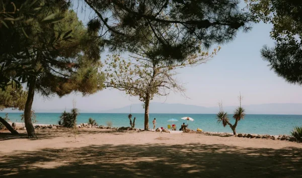 Framemot eller fram emot – vad är rätt?