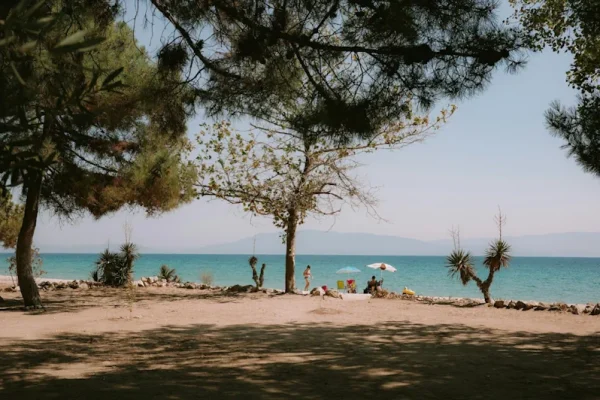 Framemot eller fram emot – vad är rätt?