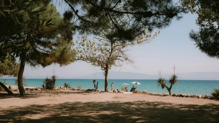 Framemot eller fram emot – vad är rätt?