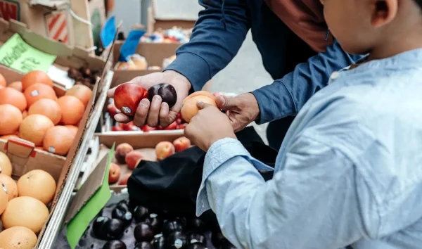 Istället eller i stället? Båda är rätt men inte alltid lika formella