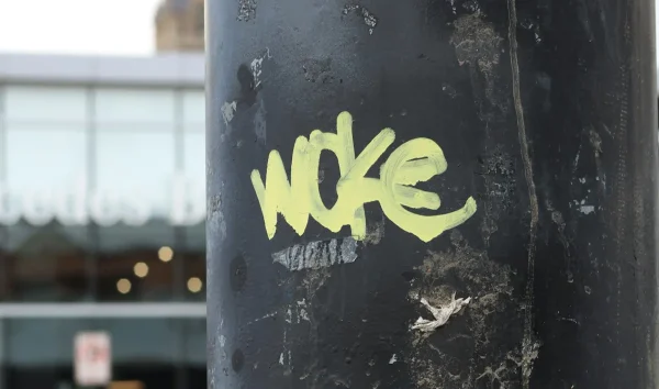 Vad menas med woke idag?