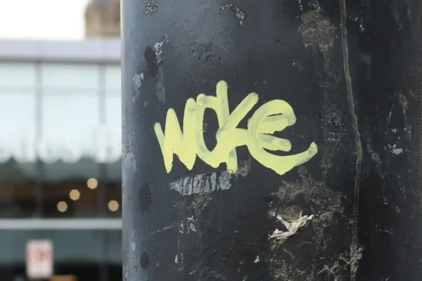 Vad menas med woke idag?