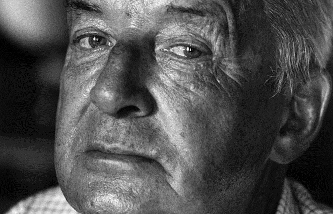 vladimir nabokov
