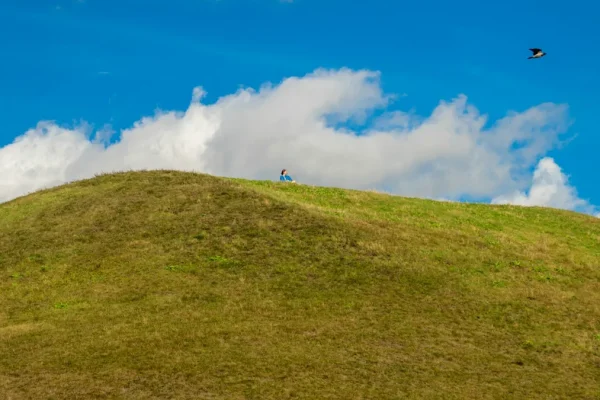 Svensk natur och kultur formas av människans sätt att leva
